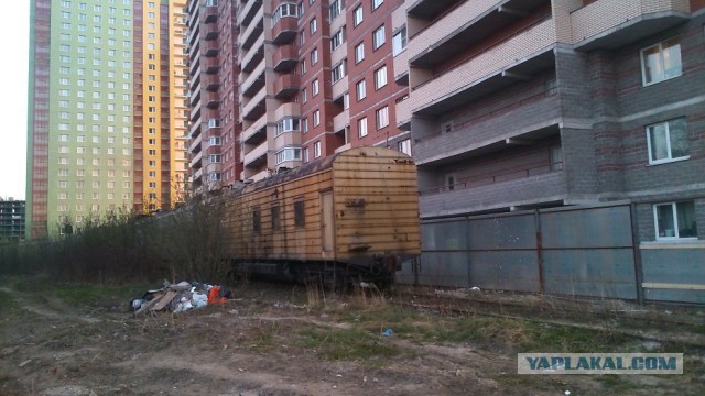 Надписи на авто