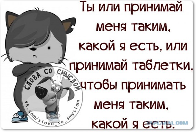 Как писать примим или примем