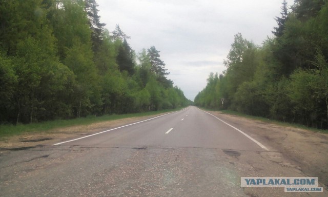 Ямы на дорогах Рязани украсили карикатурами