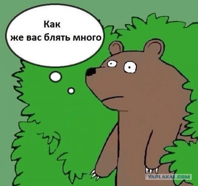 О тараканах в женских головах. Часть 5