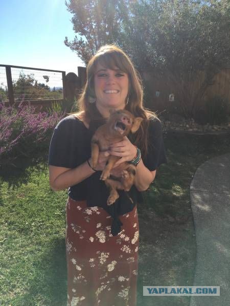 Подборка прикольных фото на среду