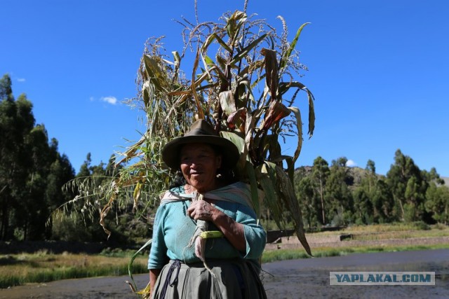 Отчет о путешествии в  Перу