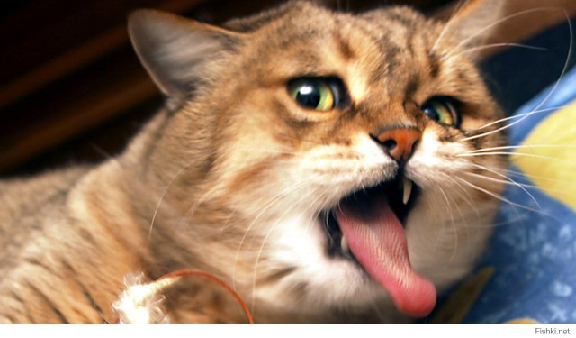 Скамейки Убийцы!