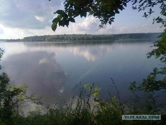 Подборка интересных и веселых картинок