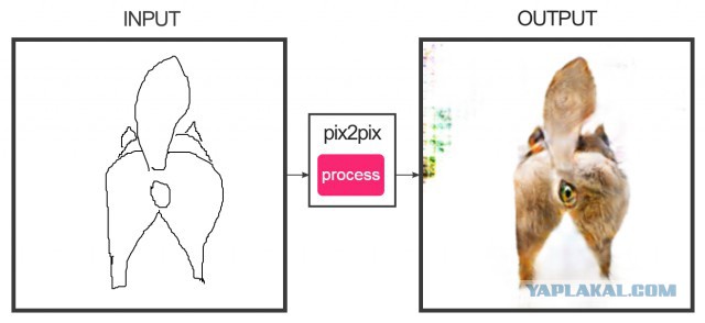 Коты, которых вы бы не хотели увидеть у себя дома