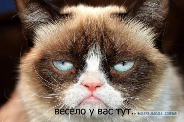 Клубный шабаш (Трешачек присутствует)