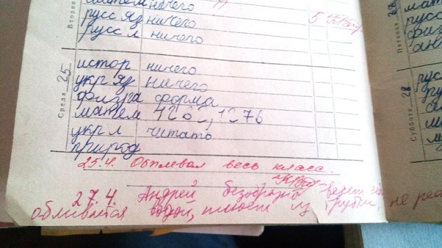 Замечания в дневниках