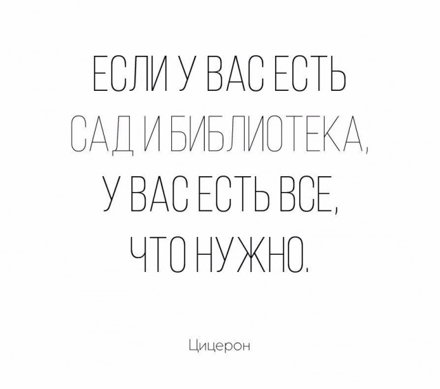 Полчаса мизантропии и интроверсии