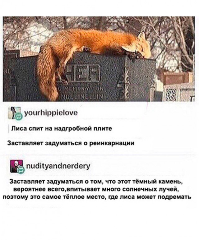 Журнал школьный деградант