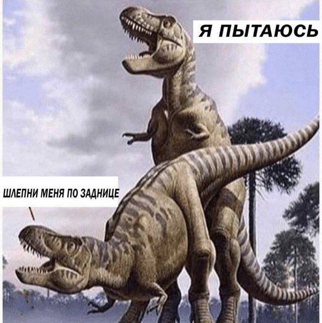 Подборка интересных и веселых картинок