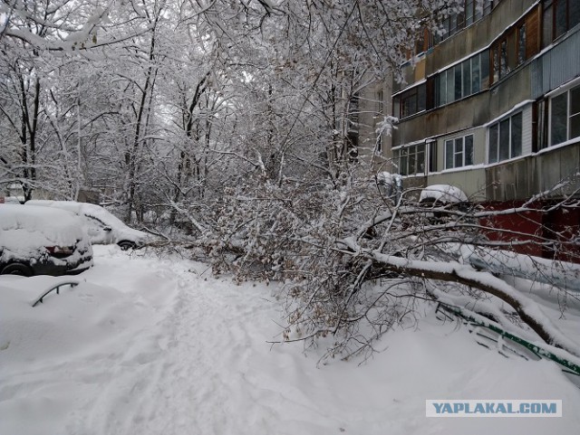 Снежный ад в Москве - большой фотоотчет