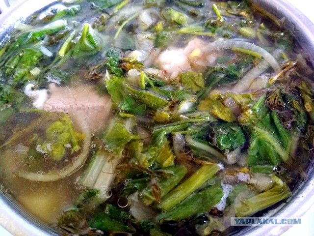 Кулинары поздравляют ЯП с днём рождения!