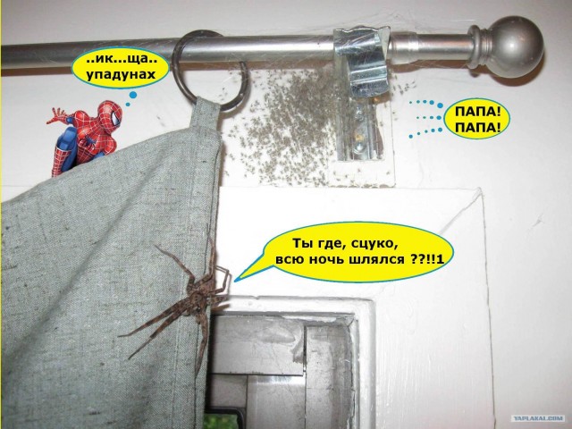 Пора переезжать на другую квартиру...