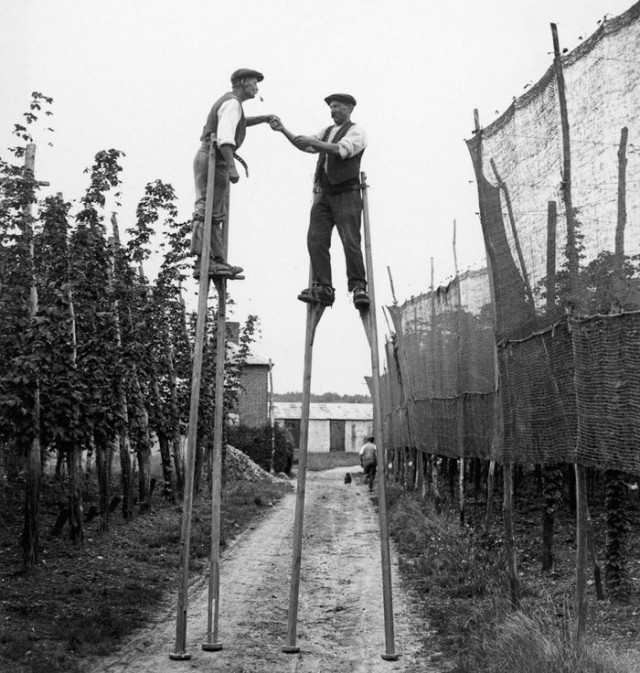 История в фотографиях