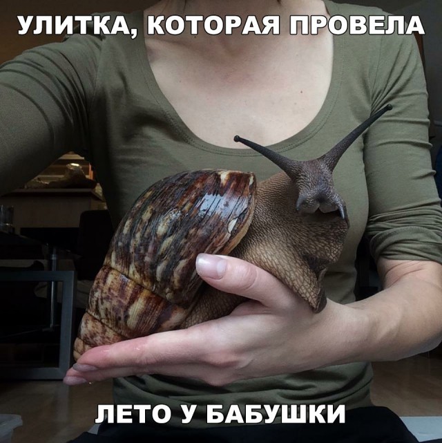Нестандартный юмор