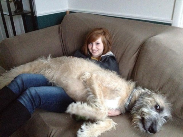 Подборка интересных и веселых картинок