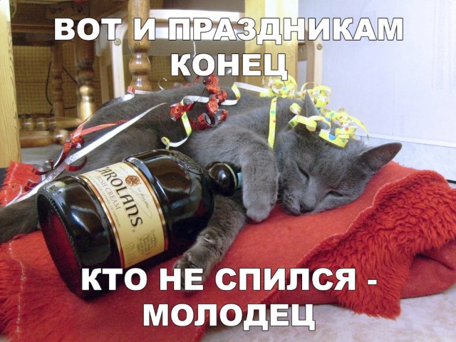 Прикольные картинки абавсём