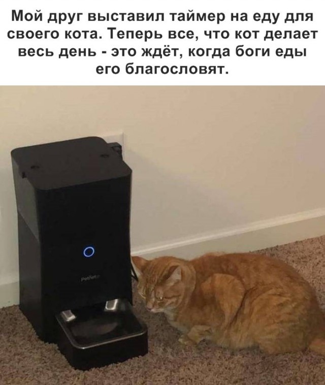 Немного картинок для настроения
