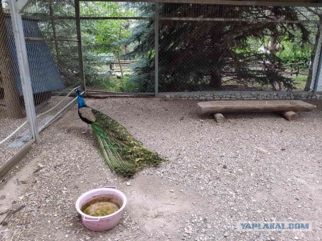 Как я микижу добывал…