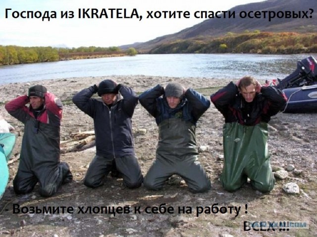 Конкурс на лучшую фотожабу против браконьеров.