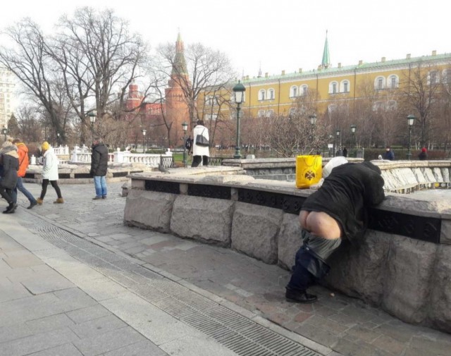 Скотсети и прочие интернеты 29.11.19