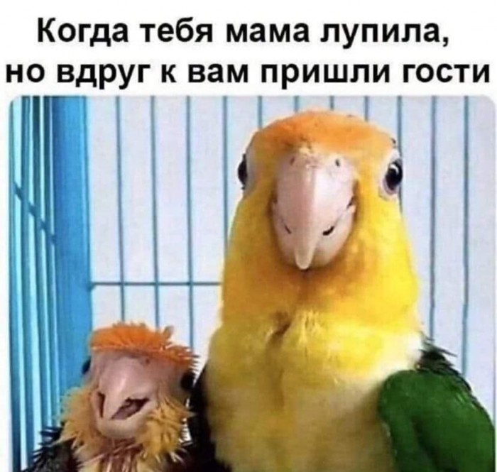 Бредзона