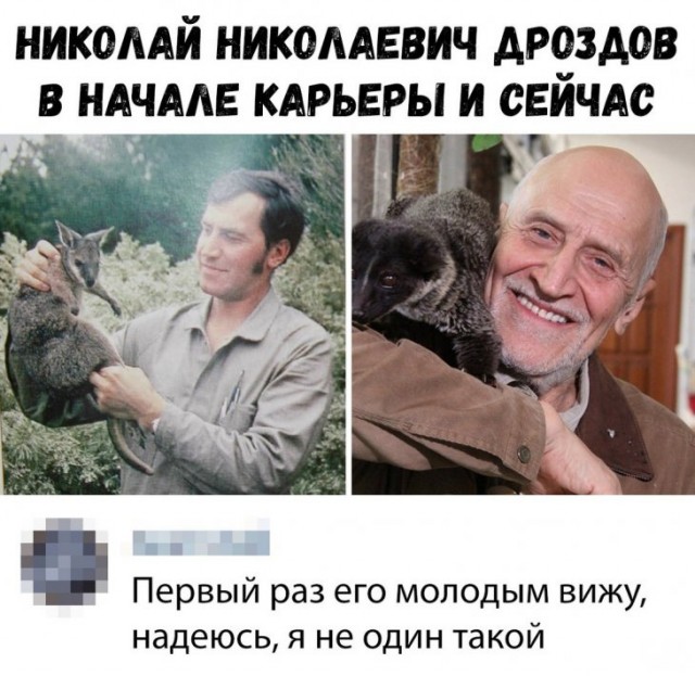 Всем хорошего настроения