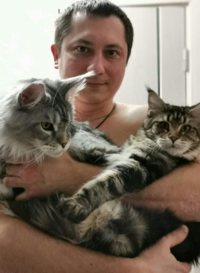 Котовторник 03.03.2020