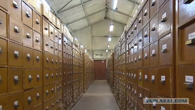 Нашли орден Красной Звезды! Помогите найти Ветерана!