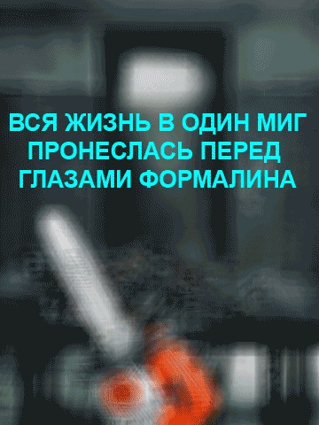Фотожаба: Логово Формалиина!