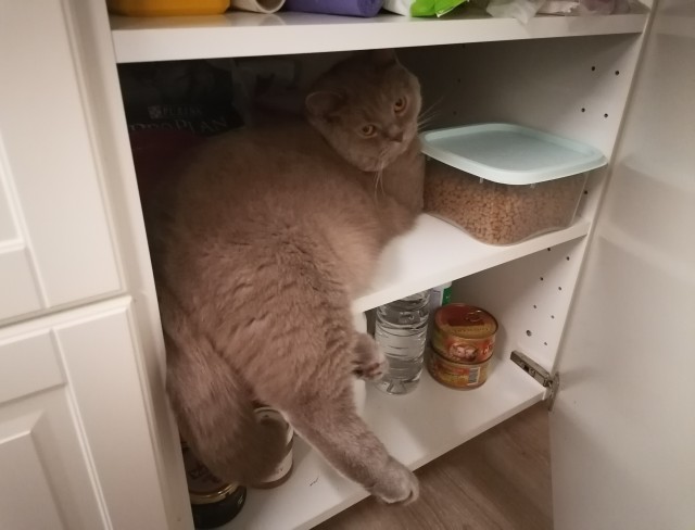 Моя красотка