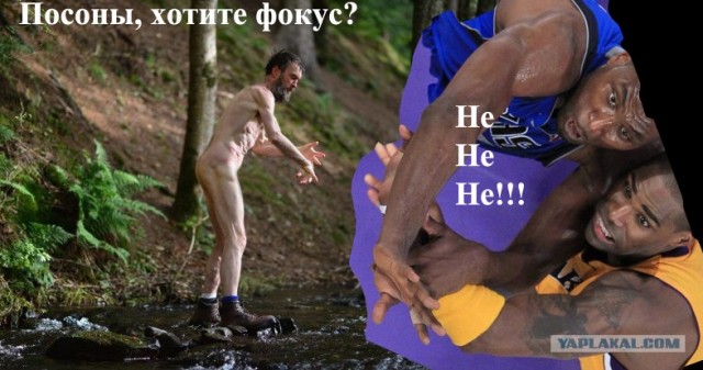 Ну очень жабельная фотография!