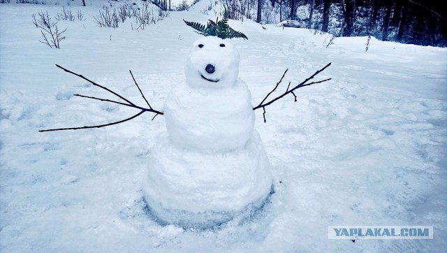 Девушка