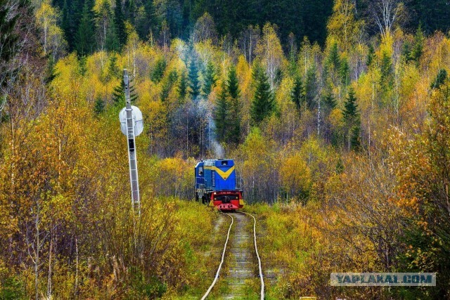 Эстетика е*еней