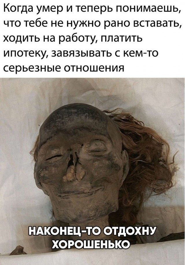 Весёлый полтишок 7.04