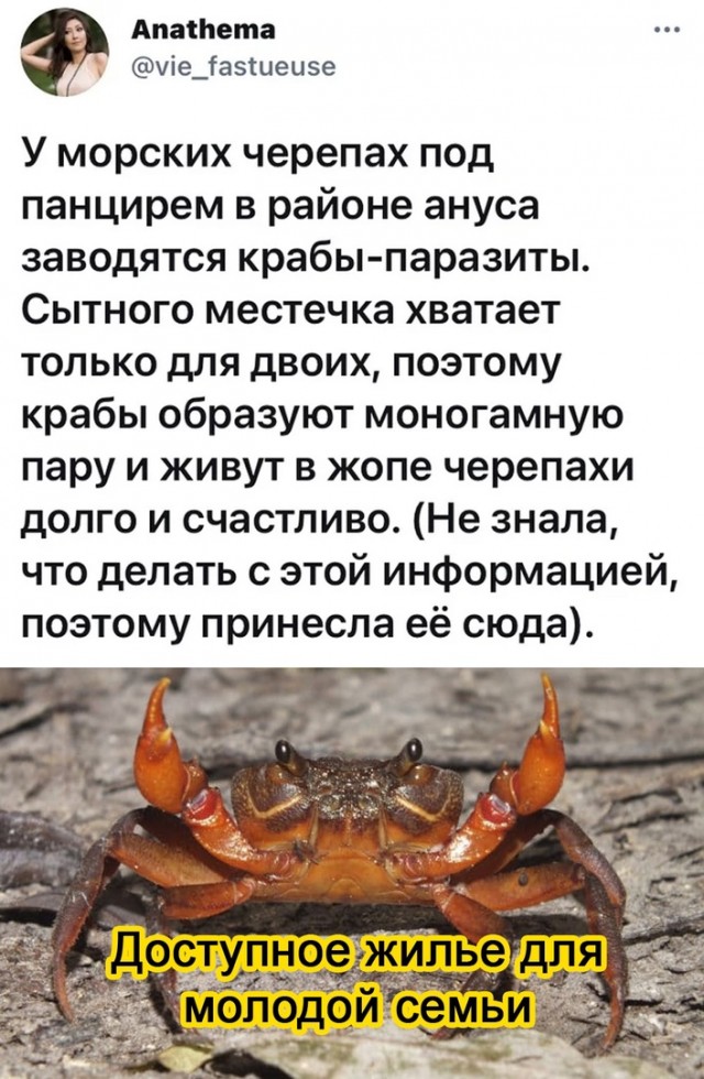 Так себе картинки 13.04.21