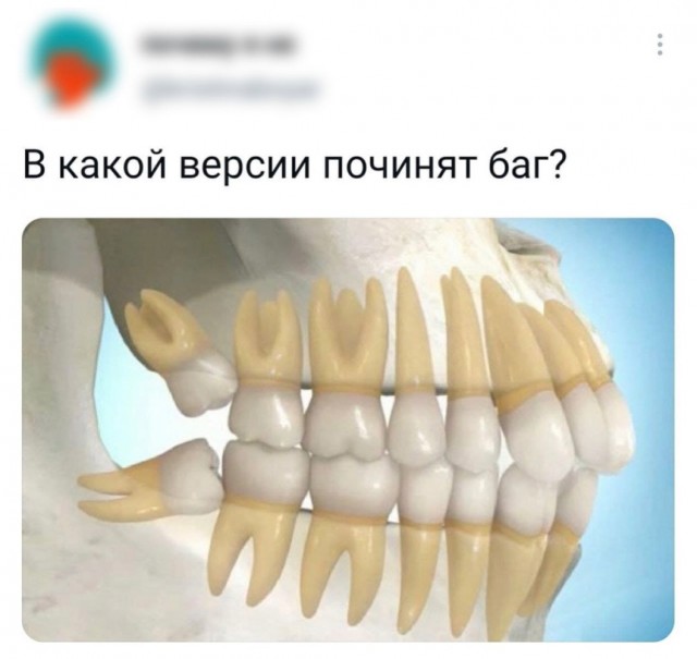 Дизайнерские хулиганства
