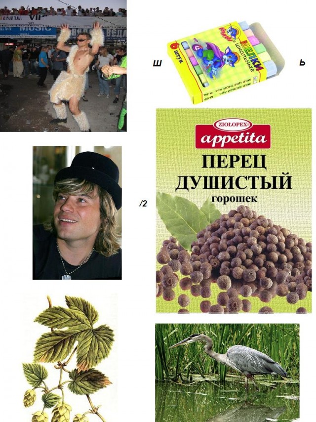 Ребусы