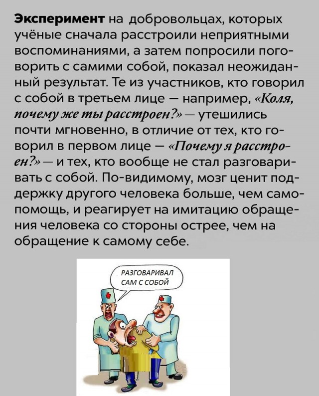 Занимательные факты о разном