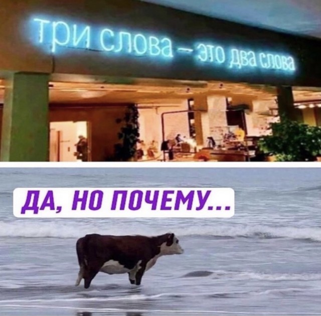 Так себе картинки 15.10.21
