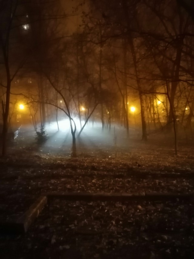 Туман в Москве