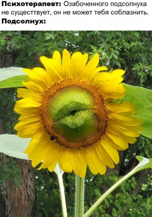 Картинки и мемы для настроения 02.02.2022