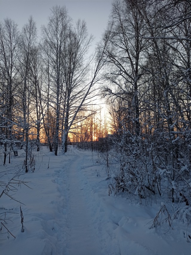 Фотки с телефона.