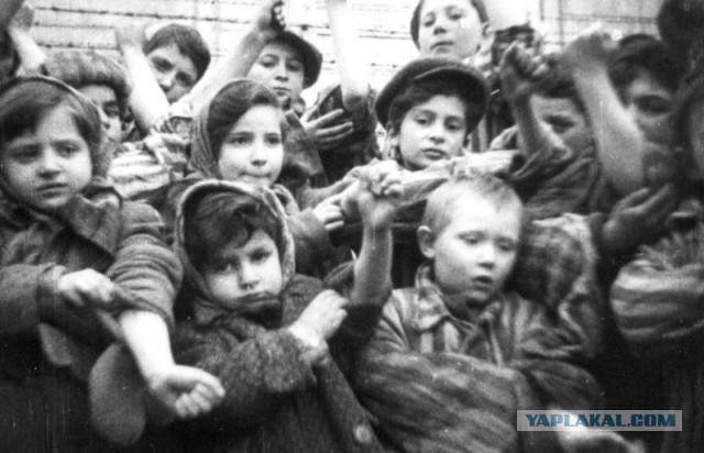 ЦБ продолжает гадить российской экономике