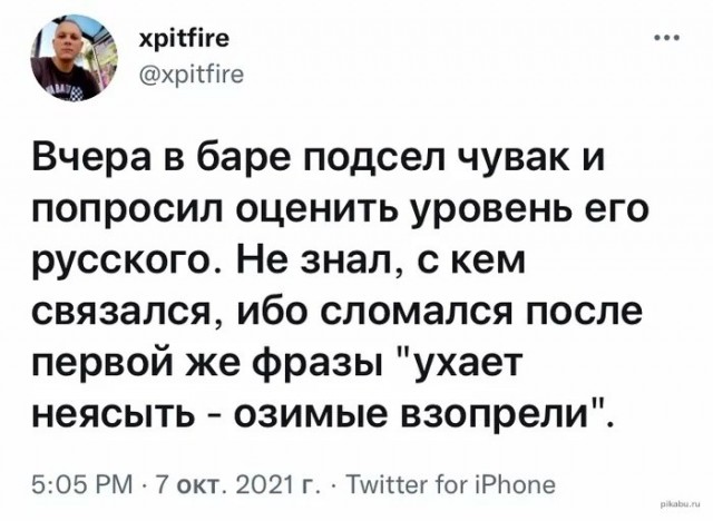 В Московском зоопарке появились два птенца длиннохвостой неясыти