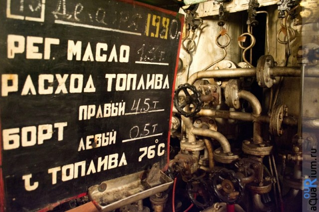 СПб глазами уставшего туриста...