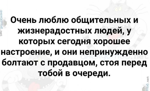 Весёлый полтишок 08.08.22