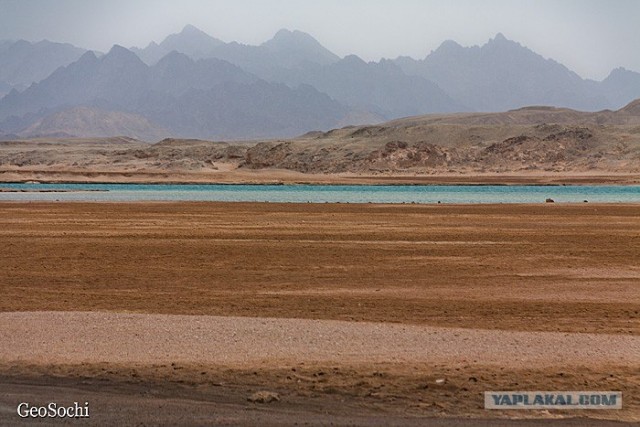 Синайские приключения. Шарм-эш-Шейх и окресности