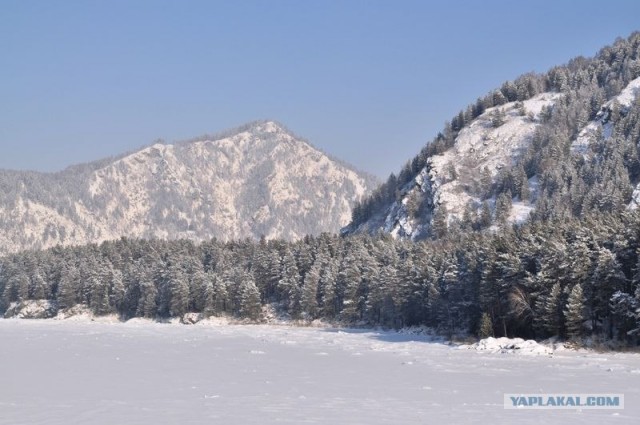 Чуток свежего воздуха