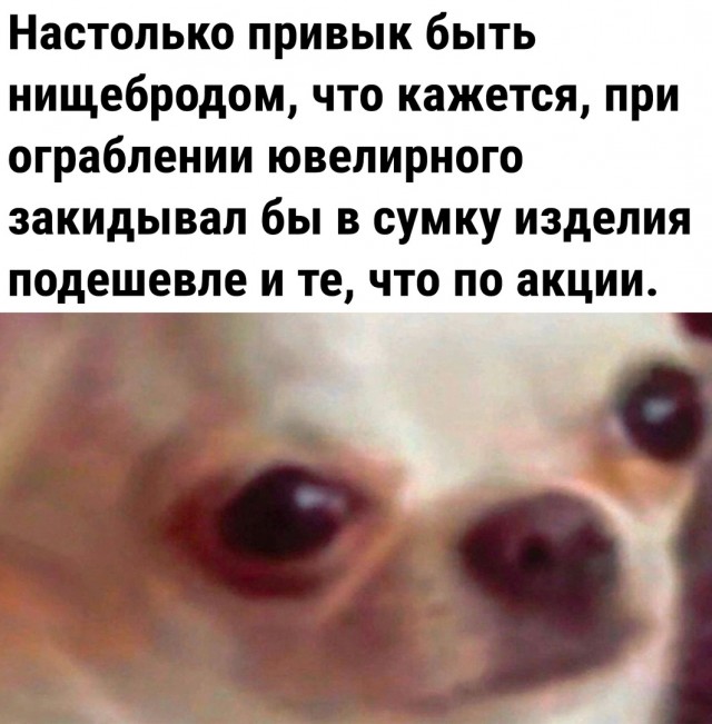 Так себе картинки 18.01.23